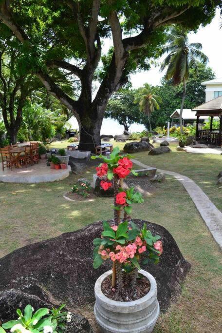 Dom wakacyjny Riva D Etruschi Seychelles Bel Ombre